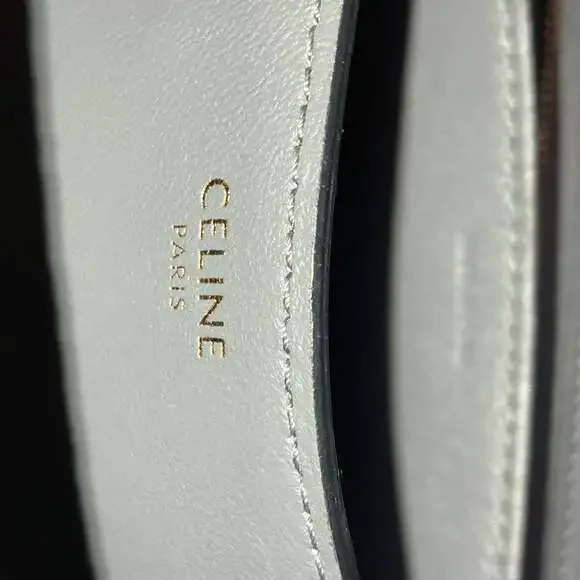 Celine Classic Box Bag Lizard Teen #218588C22B - Picture 6 of 6